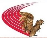 ARCS Strozzacapponi