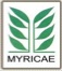 ASD Myricae Terni
