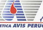 Atletica AVIS Perugia